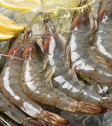 ��������(�й���) - �ٷ���վ