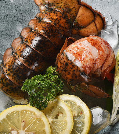 ��������(�й���) - �ٷ���վ