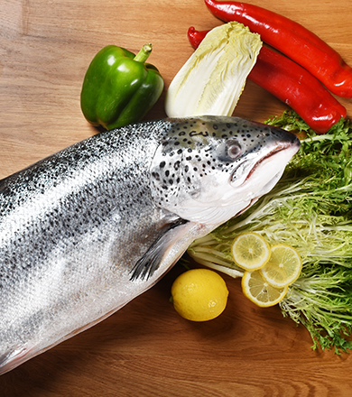 ��������(�й���) - �ٷ���վ