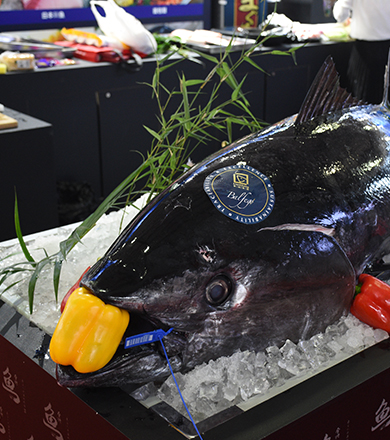 ��������(�й���) - �ٷ���վ