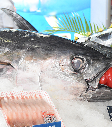 ��������(�й���) - �ٷ���վ