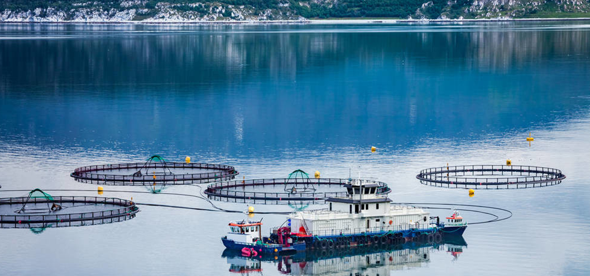 ��������(�й���) - �ٷ���վ