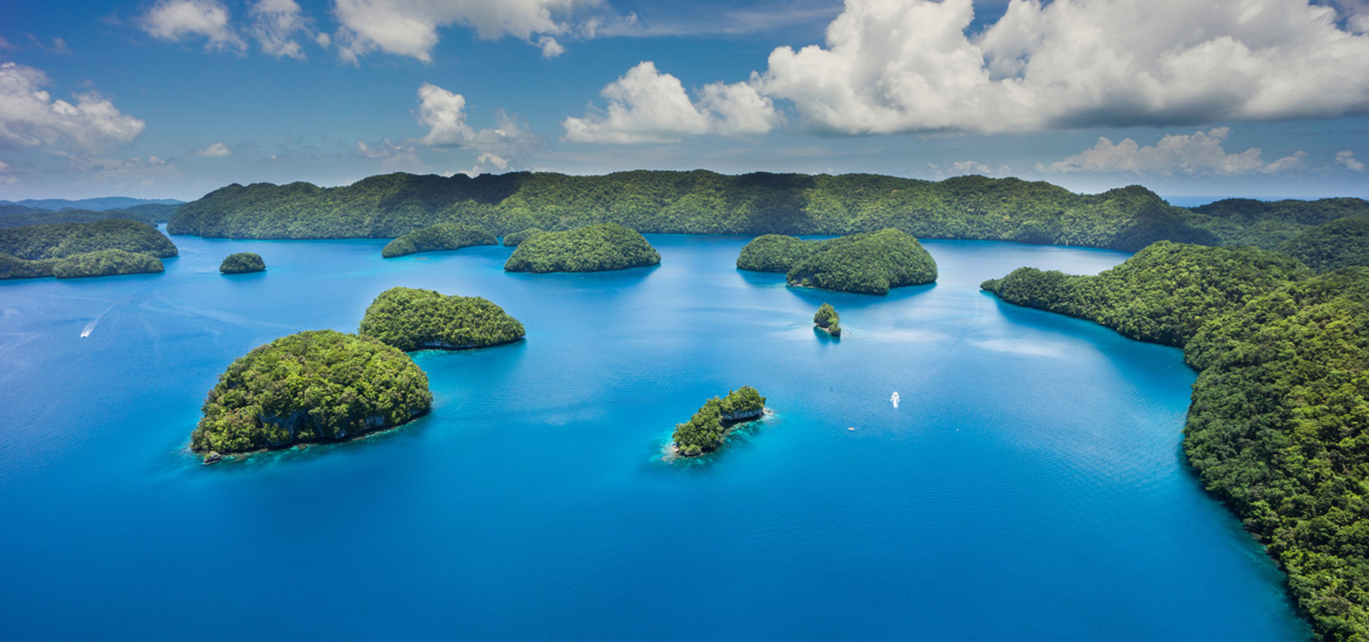 ��������(�й���) - �ٷ���վ