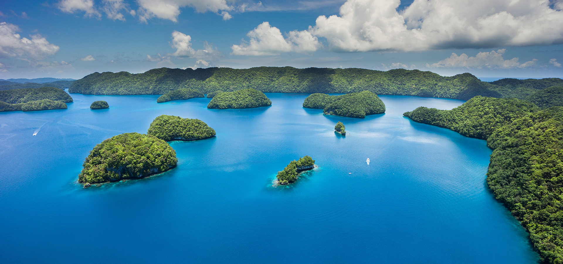 ��������(�й���) - �ٷ���վ